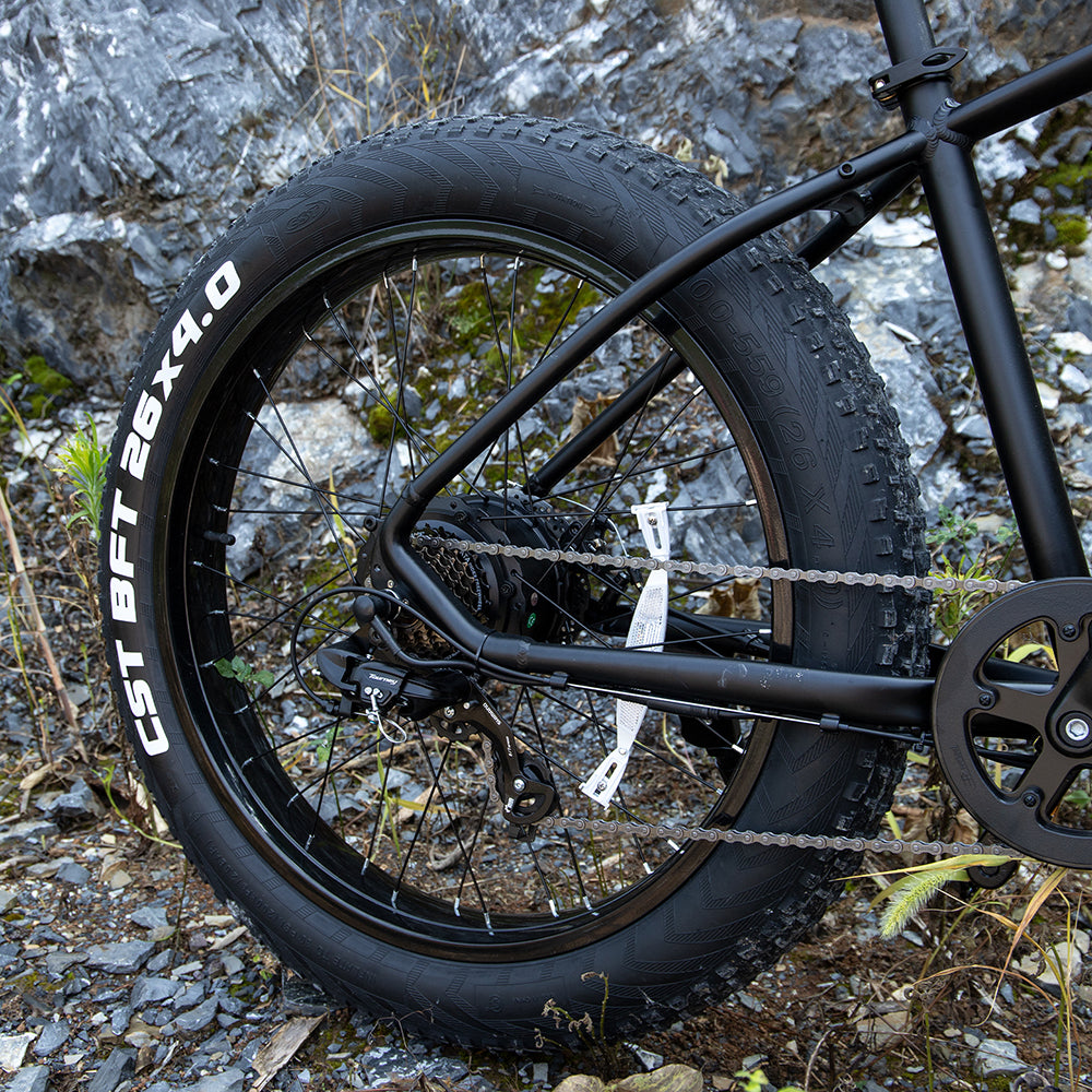 Professional Electric Bike for Adults, 26 X 4.0 Inches Fat Tire Electric Mountain Bicycle, 1000W Motor 48V 15Ah Ebike for Trail Riding, Excursion and Commute, UL and GCC Certified
